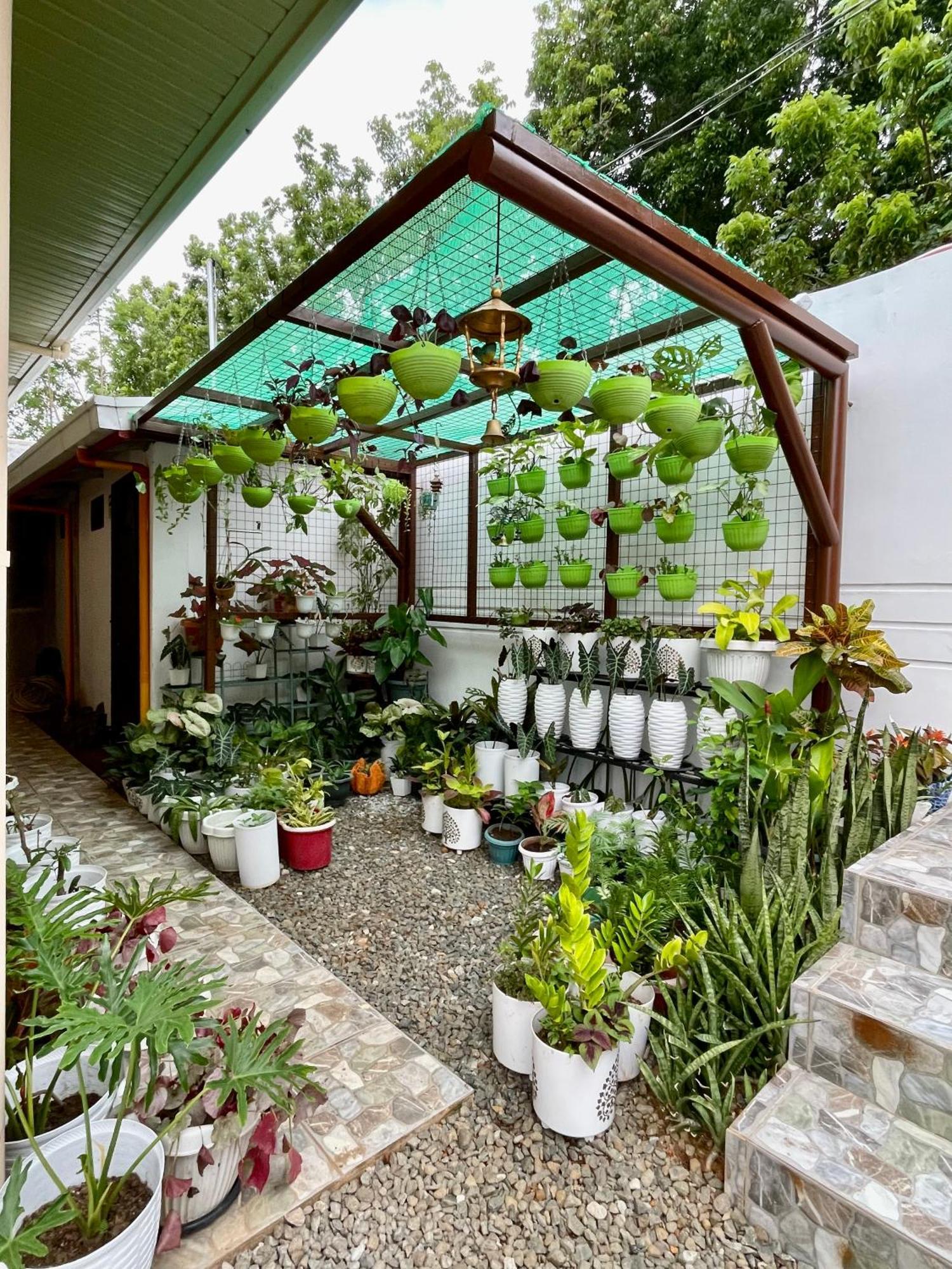 Patterville Transient House Iba Bagian luar foto